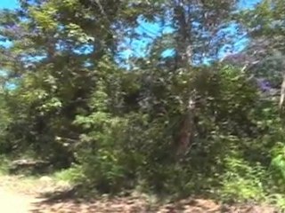 Seul ou pas seul ? Guide pratique pour les voyageurs du Lonely Planet 🌍