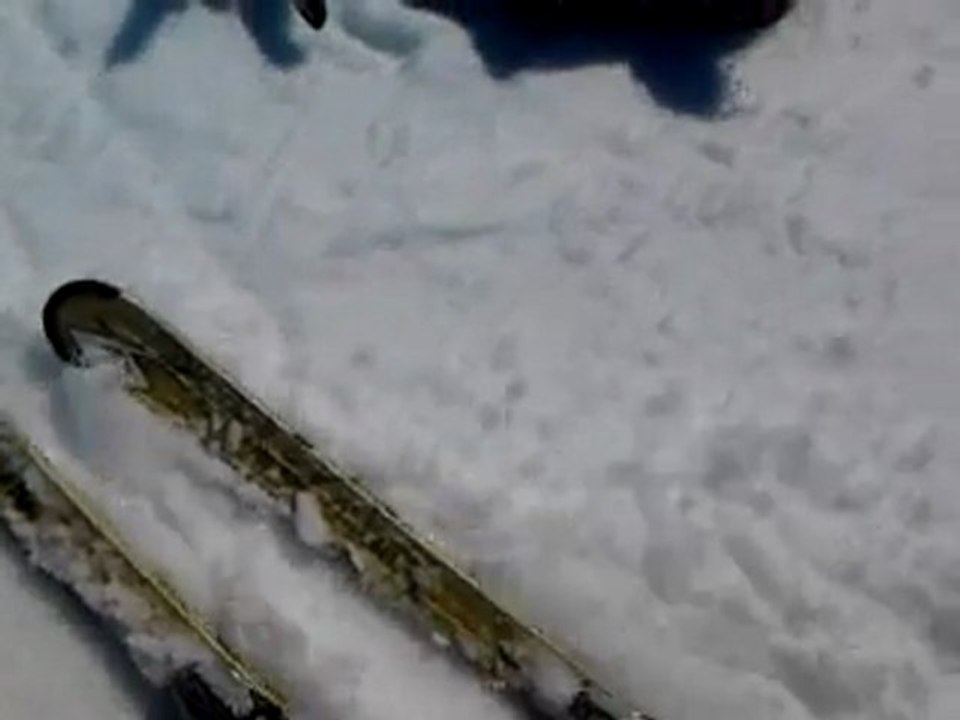 lea au ski