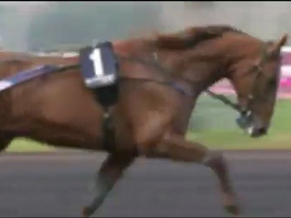 Le prix d'Amérique 2012 en compagnie de Didier Louis