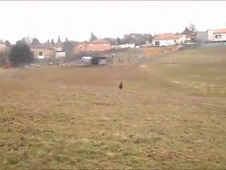 Une ponette merveilleuse ♥