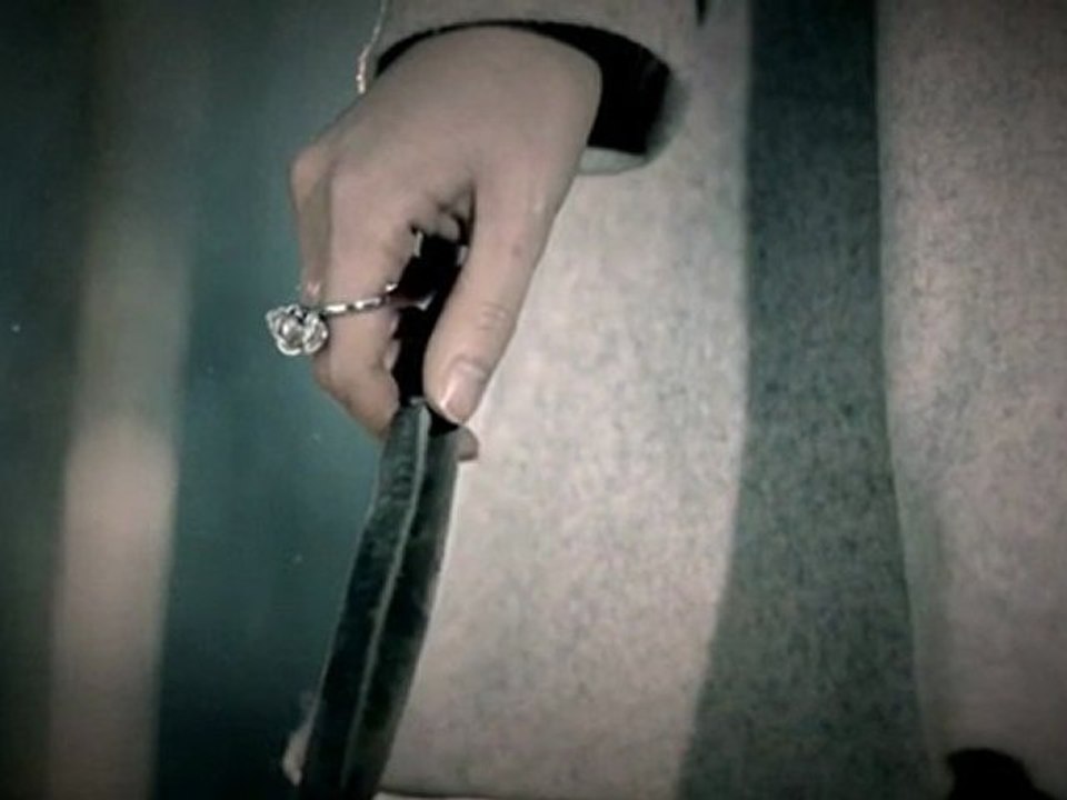 [INSPIRITSUBS] 120204 Birth of a Family - Infinite Abandoned Dogs Prevention Campaign Ver. L