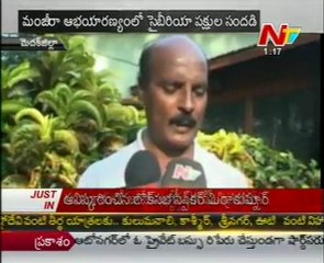 Siberian birds Brought Beauty to Manjeera Lake