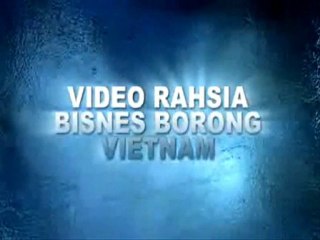 Panduan Bisnes Beli Borong di Vietnam