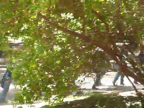 2010 STEAM TRAINS TO BEAR MOUNTAIN 051