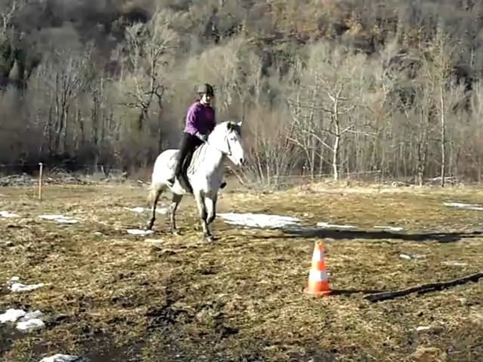 Plume~Barres au sol au trot