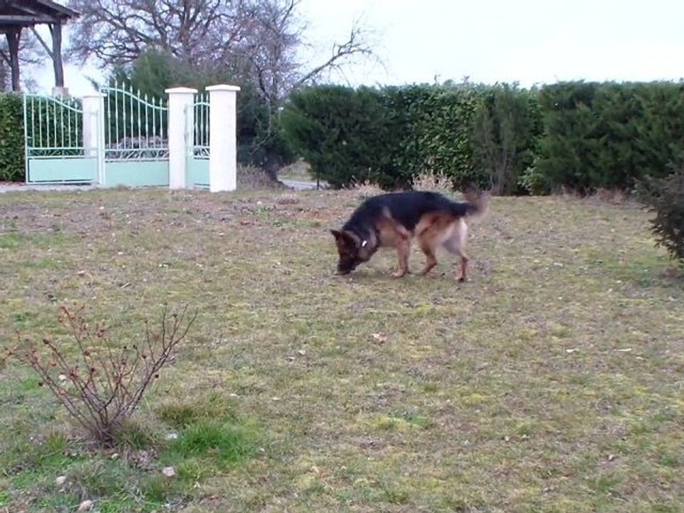 Getro/Gaico gers