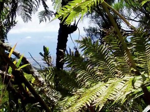 2008 08 17 Montée vers Dioré avec vue sur salazie , images de Pascal Chanteuse_ Ingrid LEGLEYE, Guitard _ Richard Mary et il y a même mon petit fils THOMAS-Écran