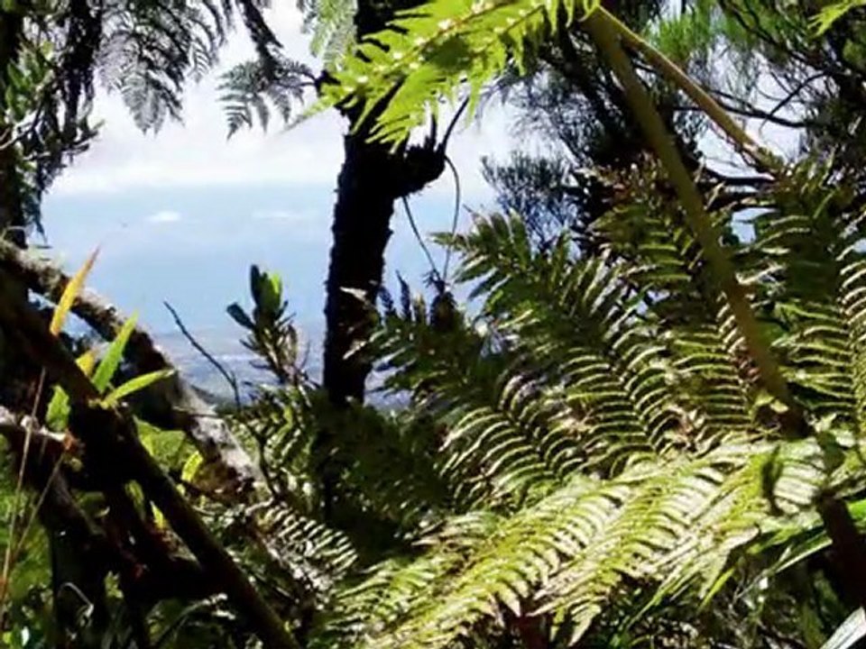 2008 08 17 Montée vers Dioré avec vue sur salazie , images de Pascal  Chanteuse_ Ingrid LEGLEYE, Guitard _ Richard Mary et il y a même mon petit fils THOMAS-Écran