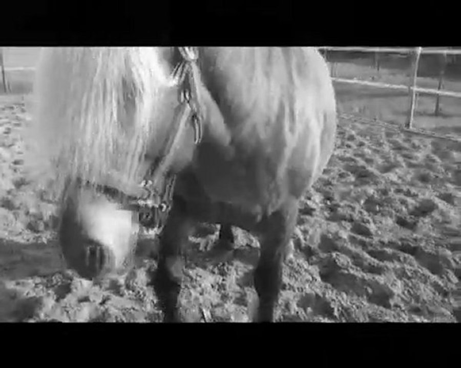 Le point final à notre histoire