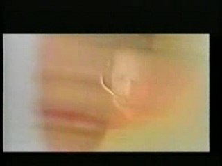 Rammstein - Das model