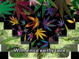 Where to Find Marijuana Seeds 2