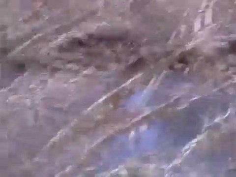 فري برس غوطة دمشق سقبا شبيح مسلح في جمعة تسليح الجيش الحر 2 3 2012 ج1