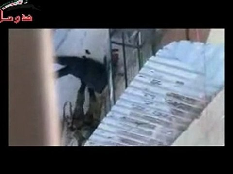 فري برس عصابات الاسد تسحب جثة الشهيد حسان ألارشي 2 3 2012