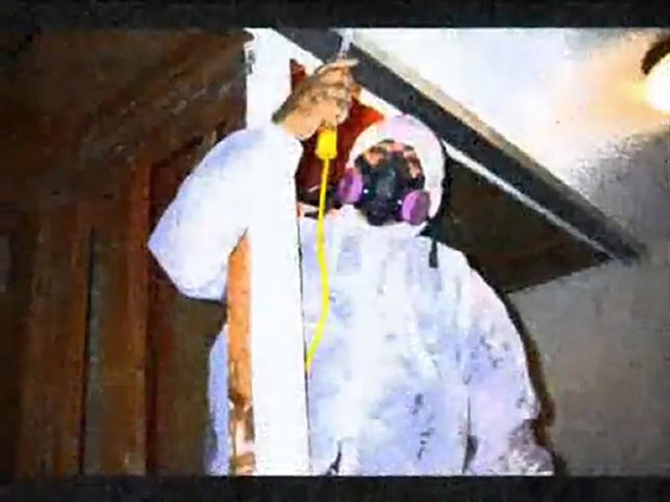 Mold Inspection