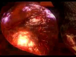 mucize gezegen 2 ideal akiskanlik degeri