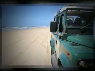 "Alignments Ventura" "Drive Train Systems" "Tune-up" "Ventura"