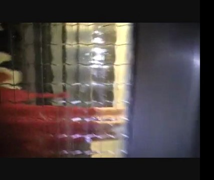 The wolrd of zombie 2. Le retour des monstres invisibles.