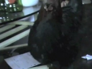 Film de campagne du Cube de Pandore