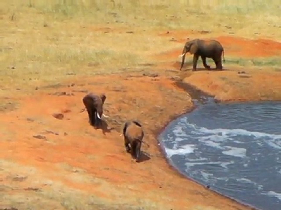 k/135