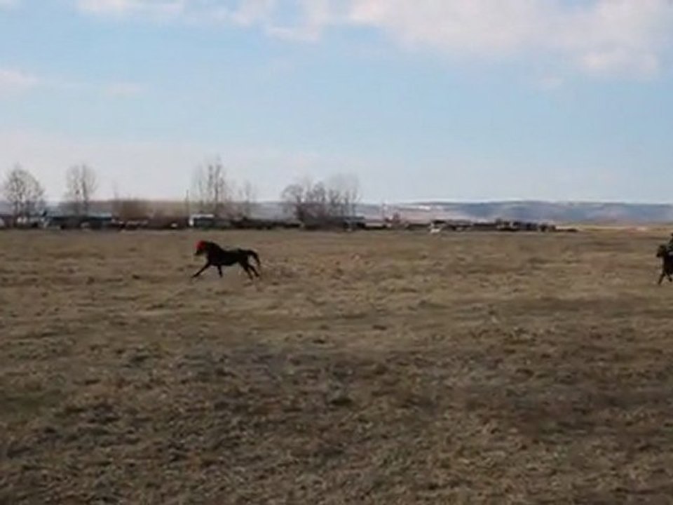 Кушията на Тодоровден