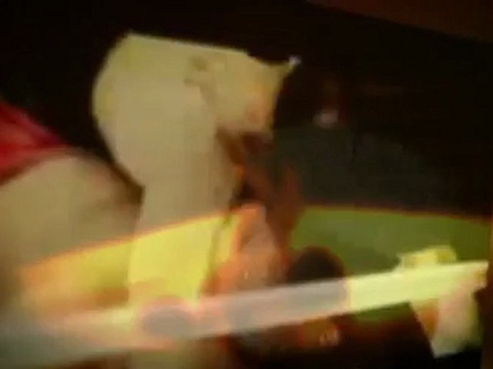 Watch - Derek Daku v Dusty Shingoose - School of Hard ...