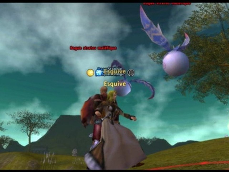 vidéo montage photos avec des image du jeu " rune of magic "