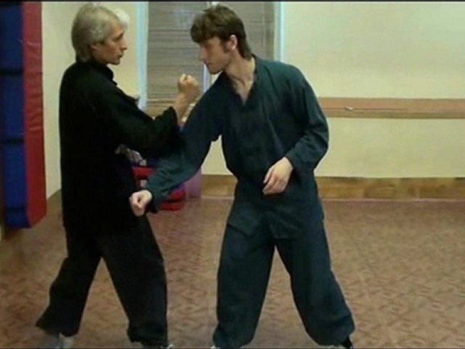 Боевая техника Кунг фу. Школа "Цюань-шу", стиль "цзыжань-мэнь".