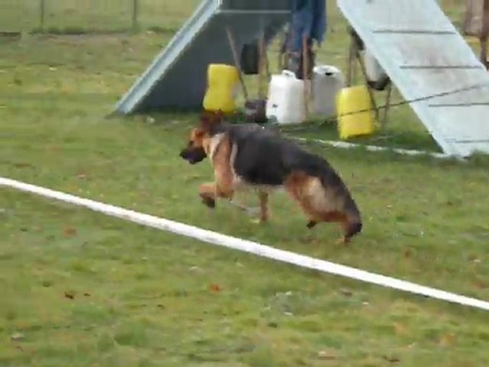 FONTANA des FLAMMES du MAL  (22 mois)