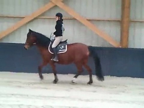 Nina dans sa nouvelle écurie 03/03/12