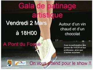 Gala de patinage artistique à Pont-du-Fossé le 02 03 2012