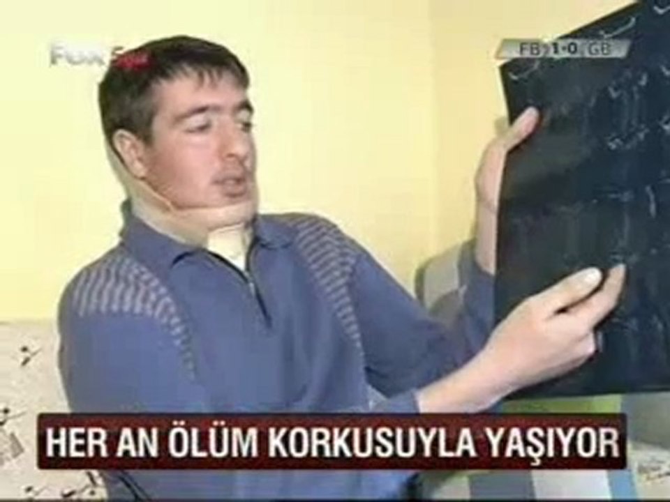 Fox 3 M WWWOLAYWEBCOM