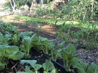 Nosy Komba, WeWorkItWorks