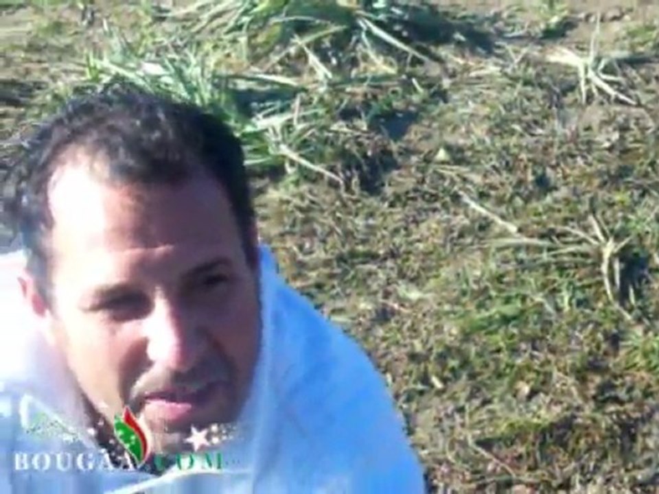 Bougaâ: la célébration du Chaw Rabie 2012 شو الربيع