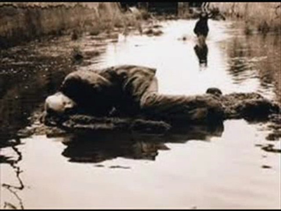 Stalker Part 1 / 13 Full HD