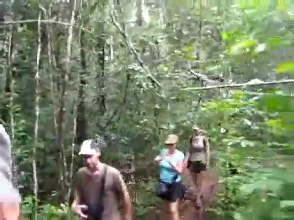 camera embarquée