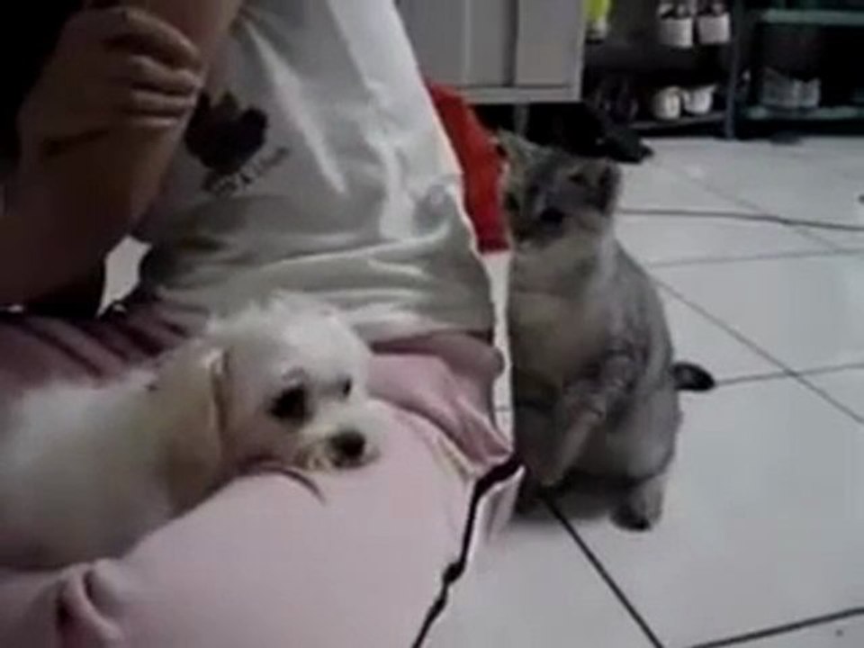 Belasını Aramak Bu Olsa Gerek :))