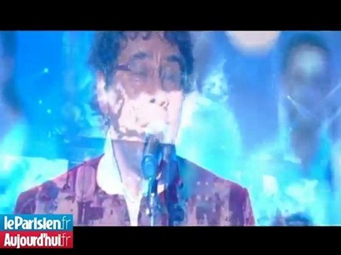 Victoires : Thiéfaine et Ringer triomphent, Voulzy et Brigitte savourent