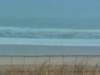 Dimanche 04 Mars - Surf report vidéo 11H30