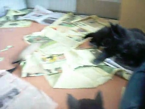 4 mars 2012 : 7 semaines et demi