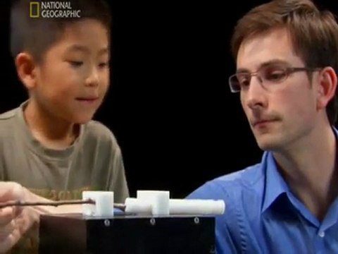 Das Lernverhalten Von Schimpansen im Vergleich zu Menschen (Teil 1)