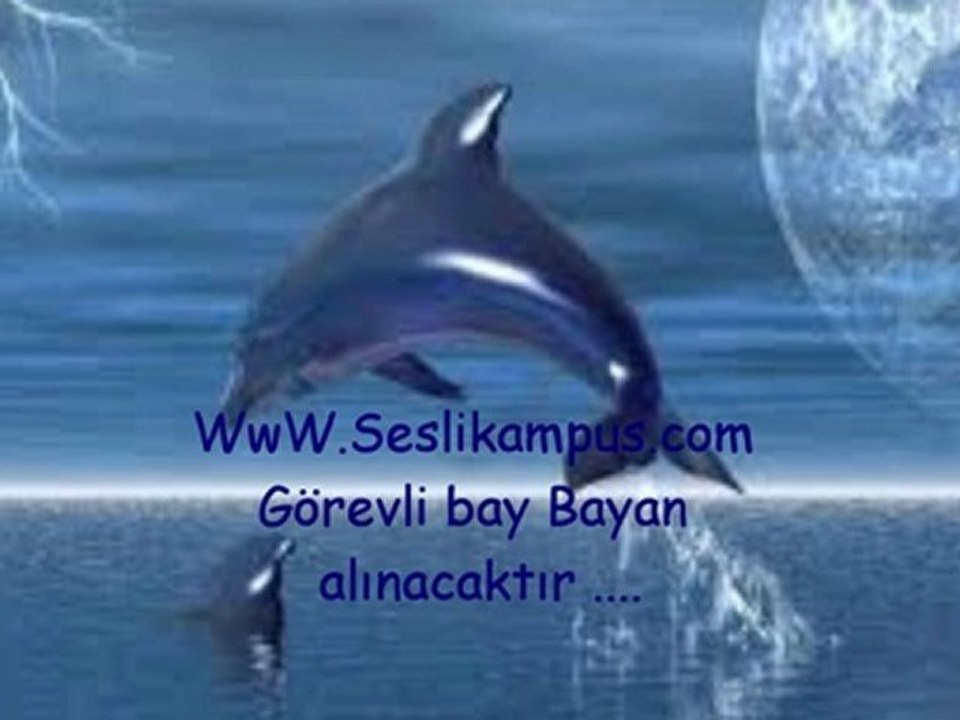 At kendini Diskolara.. www.seslikampus.com seslikampus.com sesli chat sohbet herkesi bekleriz..