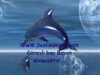 At kendini Diskolara.. www.seslikampus.com seslikampus.com sesli chat sohbet herkesi bekleriz..