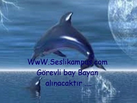 At kendini Diskolara.. seslikampus.com seslikampus.com sesli chat sohbet herkesi bekleriz..