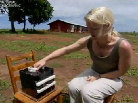 Das Lernverhalten Von Schimpansen im Vergleich zu Menschen (Teil 2)