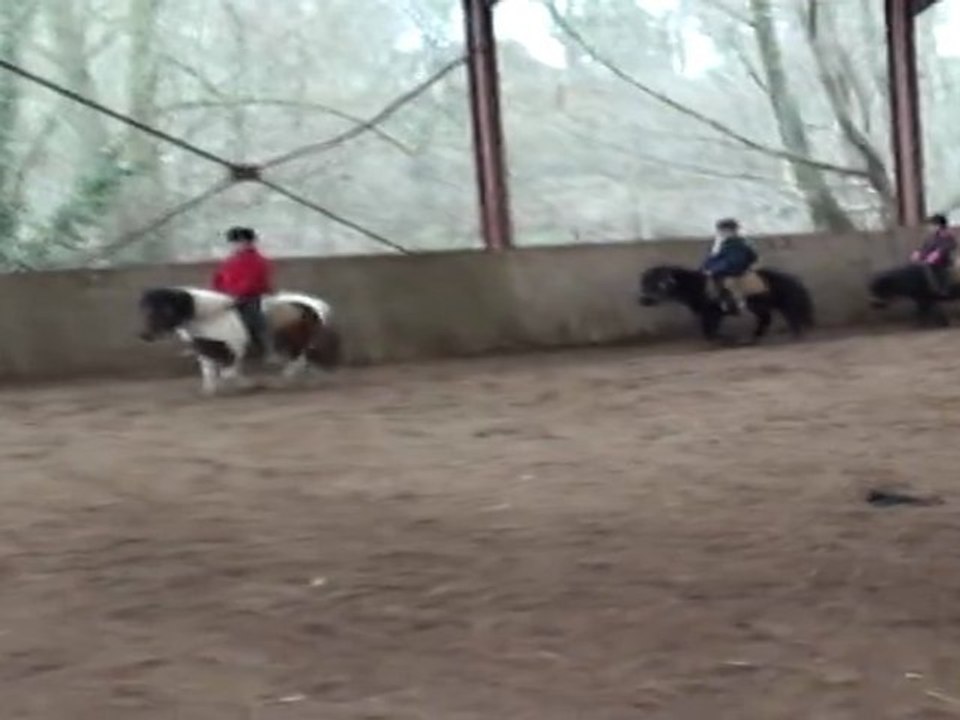 Équitation - poney games au centre équestre du moulin du Goutay dans le 87 en Limousin