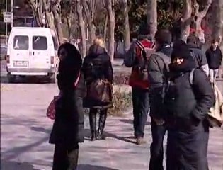 Tarihi Ağaçlar Kesildi