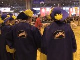 SIA 2012 : Concours General : le porc de Bayeux