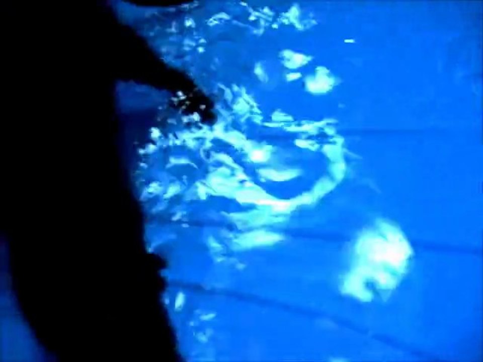 Bretzel mon vison pendant le remplissage de la piscine avec le tuyaux été 2010 / my pet mink