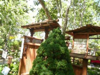 2010 : FAIR PLEASANTON 032