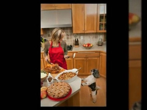 What are the secrets revealed in dog food secrets ?